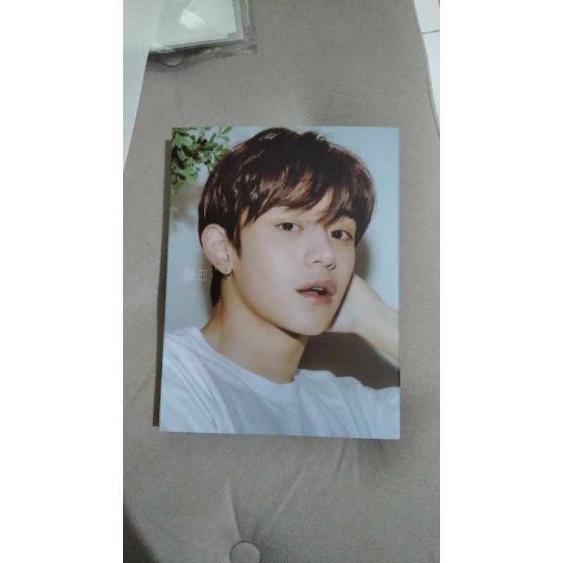 Lucas Wayv Holiday Photobook