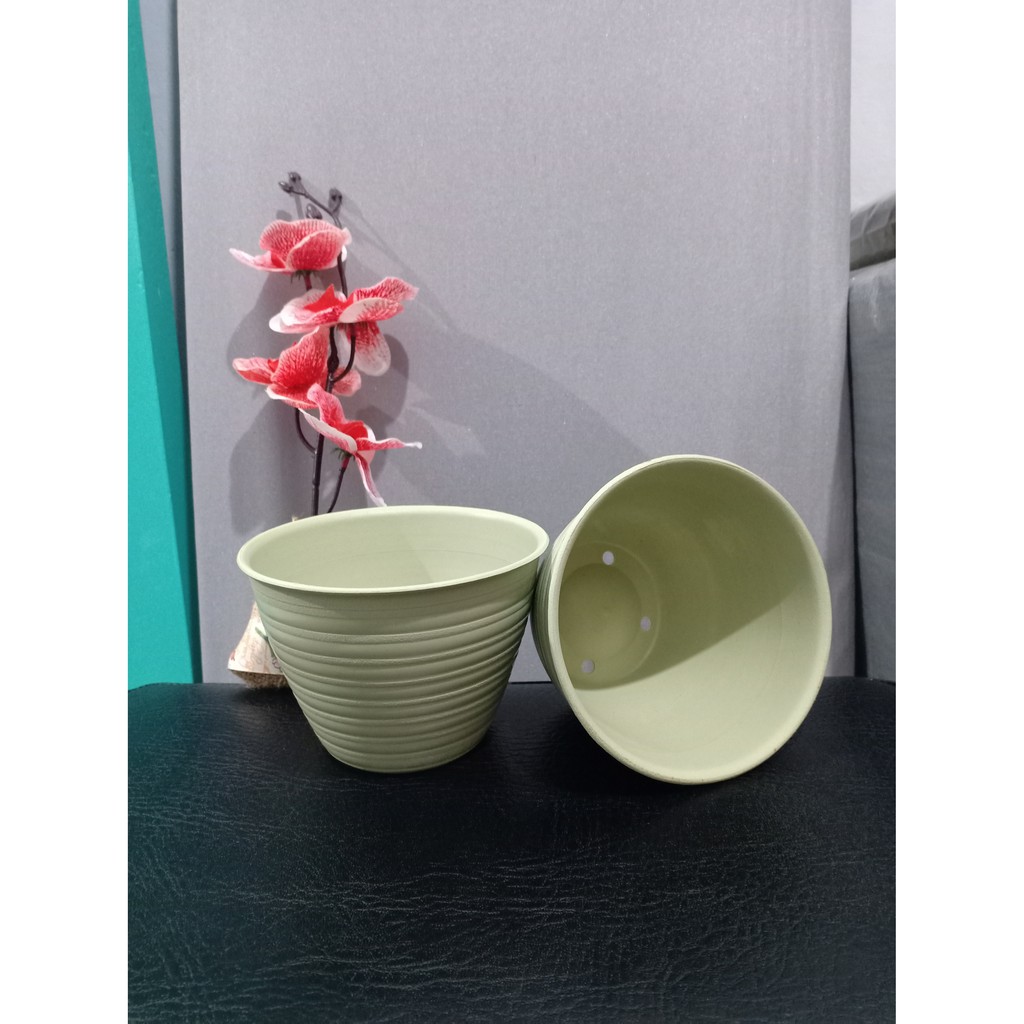  Pot  Tawon  12 cm Matcha Shopee Indonesia