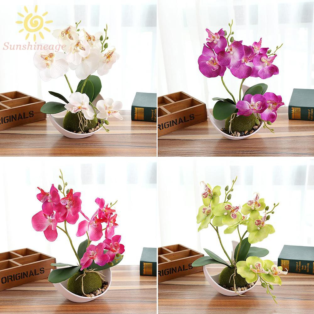 Phalaenopsis Bonsai Artificial Plant Flower Pot Decorative Flower Home Shopee Indonesia