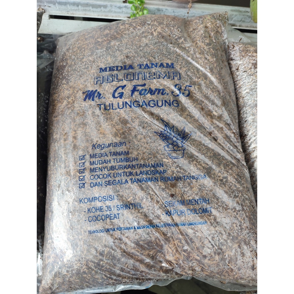 Media Tanam Fermentasi Premium Super Siap Pakai utk Aglaonema Aglonema repack