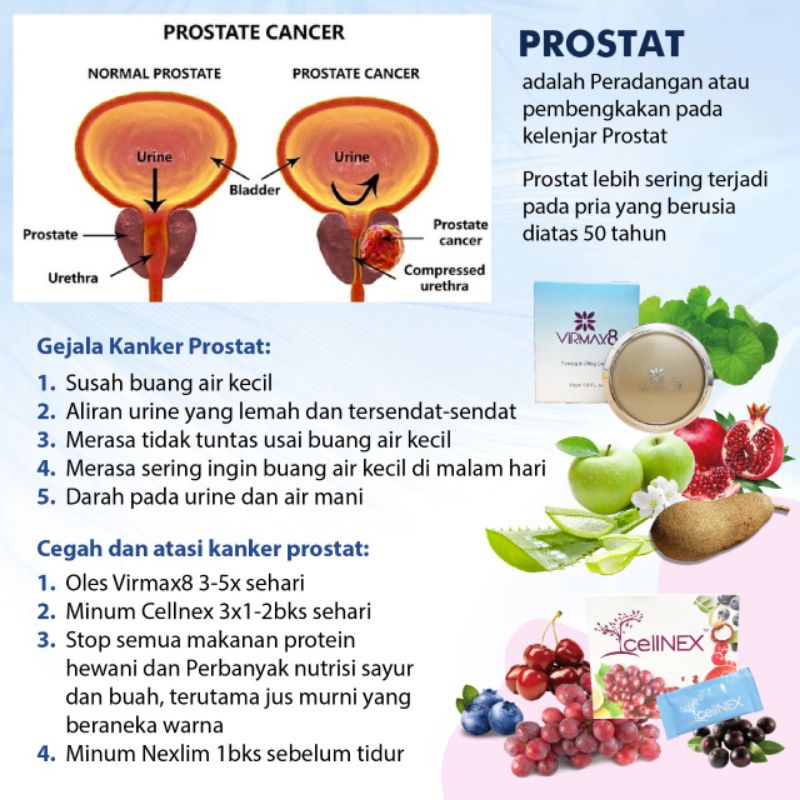 Virmax8 PT Nex virmax 8 cream oles utk peredaran darah, daya tahan tubuh