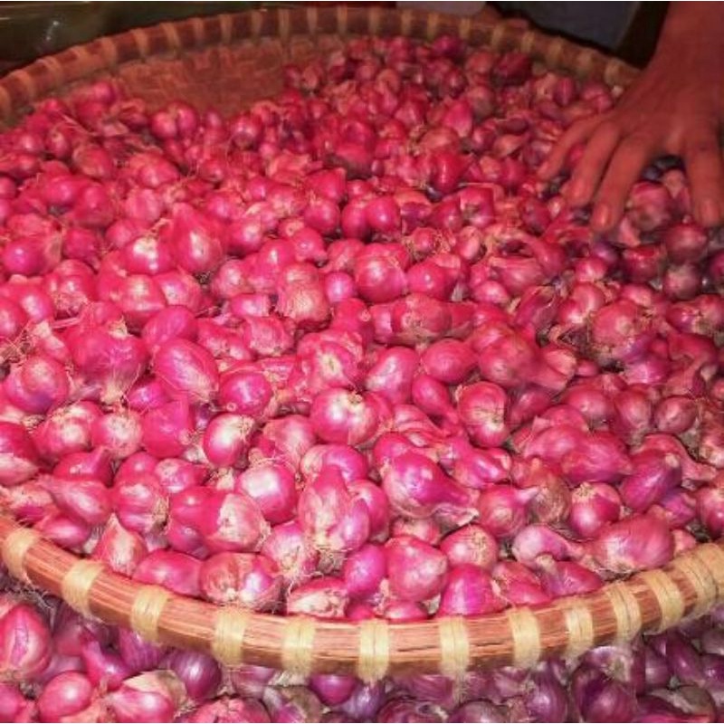 

Bawang merah brebes 250gram