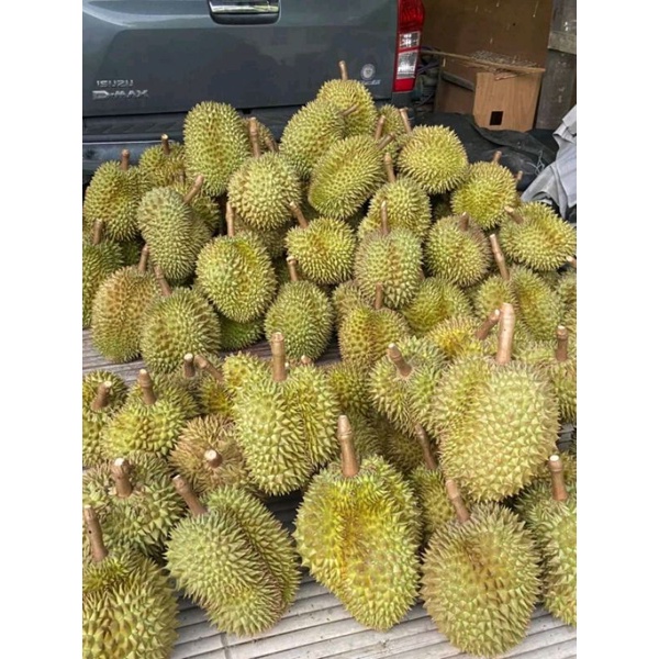 DODOL Durian  - Boga Rasa