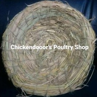 SARANG TELUR AYAM ALAS BERTELUR BURUNG DARA TEMPAT TELOR AYAM KATE BANGKOK SERAMA MERPATI POS