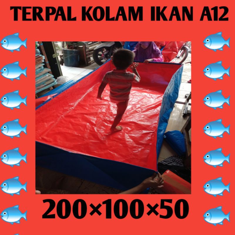 terpal kolam ikan bentuk kotak TYPE A12 kualitas terbaik ukuran panjang 200 lebar 100 tinggi 50