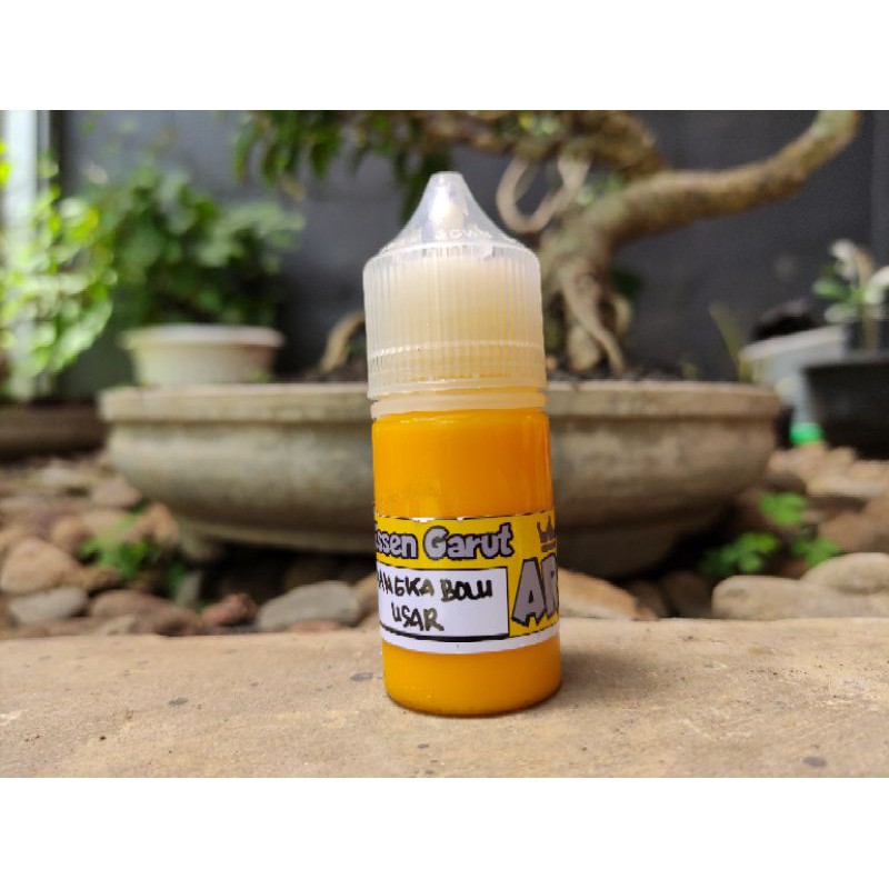ESSEN GARUT ARS / NANGKA BOLU USAR