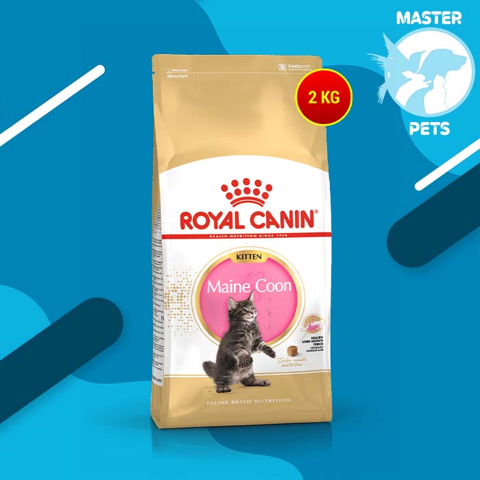 makanan kucing Royal Canin Kitten Mainecoon 2 Kg