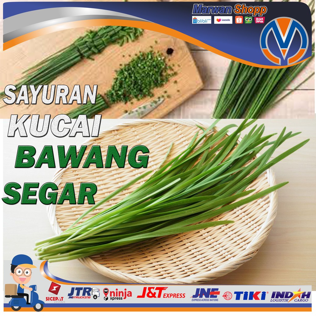 

SAYURAN KUNCAI BAWANG KUCAI SEGAR BISA UNTUK BIBIT MARWAN SHOPP