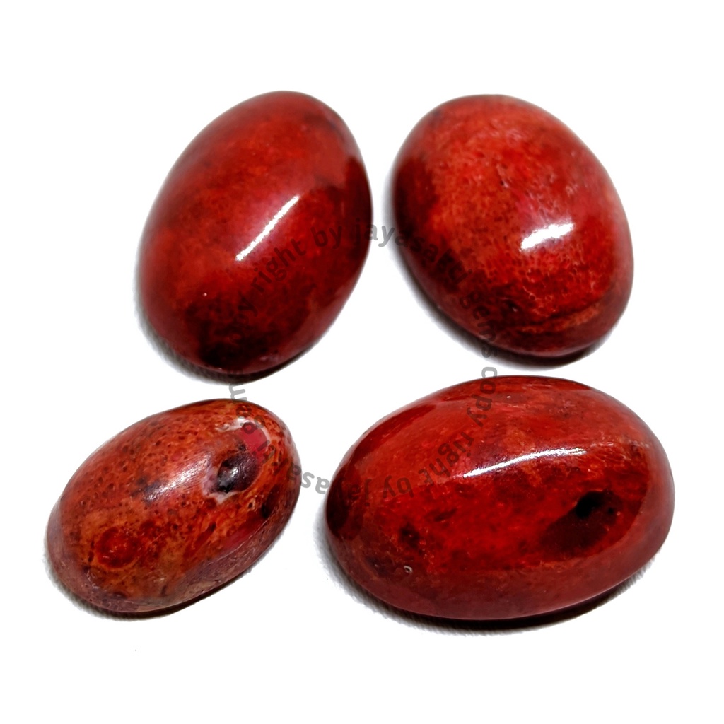 Natural Batu Akik Red Coral Marjan