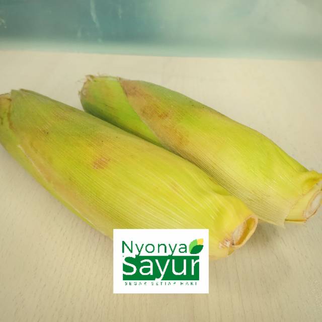 

Jagung Manis