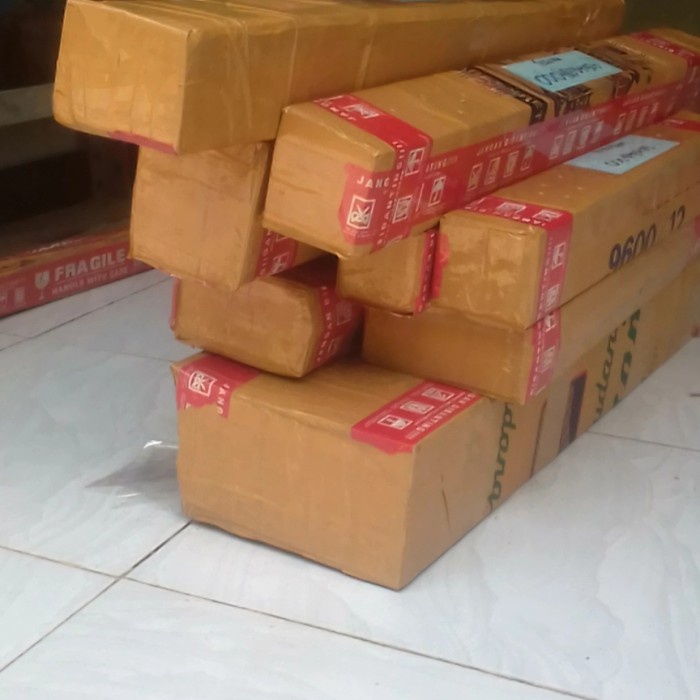 BIBIT RAMBUTAN RAPIAH OKULASI