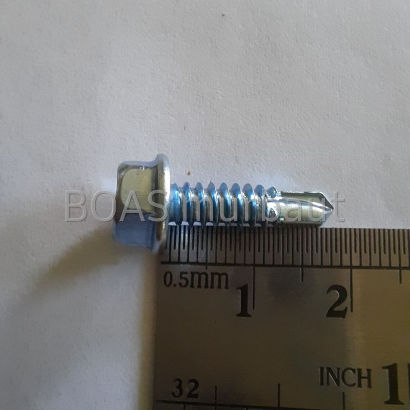 MoonLion Skrup Baja ringan 10x19 boasmurbaut