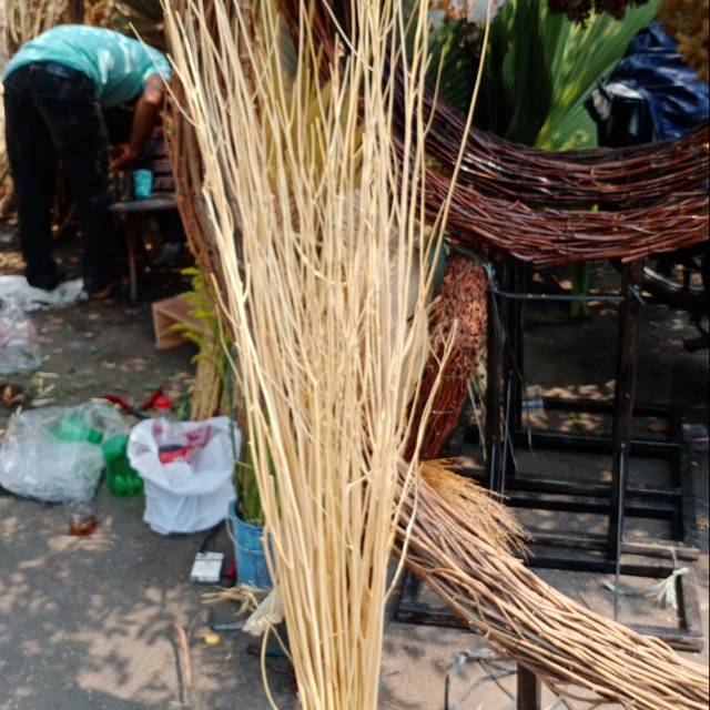 ranting daruak - ranting - ranting kering - ranting rustic