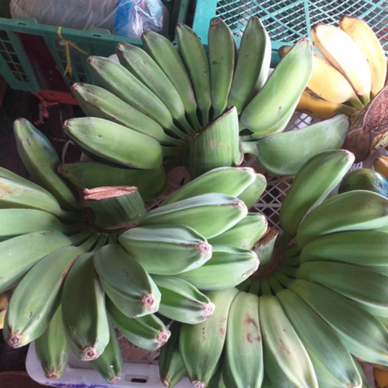 

pisang mentah 2 biji