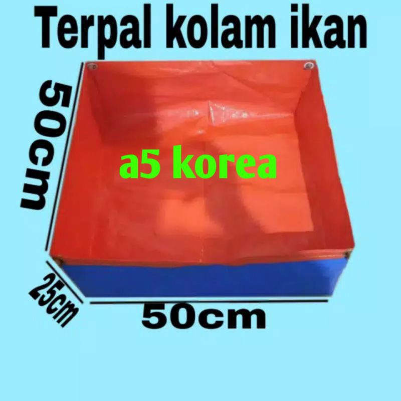 terpal kolam mini cupang uk50×50×25 a5 korea
