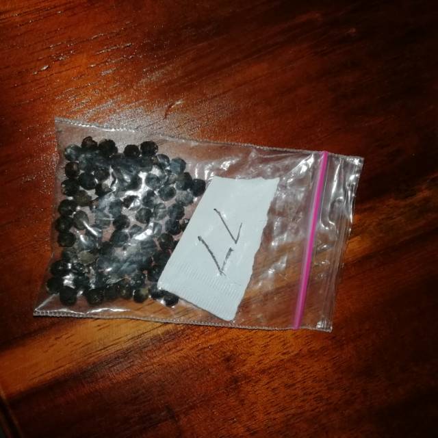 Download Penawaran Diskon Dan Promosi Dari Lalayeyeye Shopee Indonesia Yellowimages Mockups