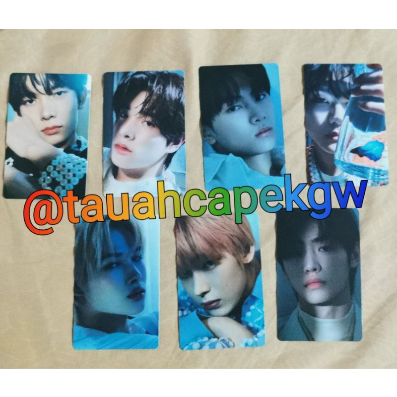 ENHYPEN LIMITED B DIMENSION SENKOU PC READY STOCK (JUNGWON IKAN CUPANG)
