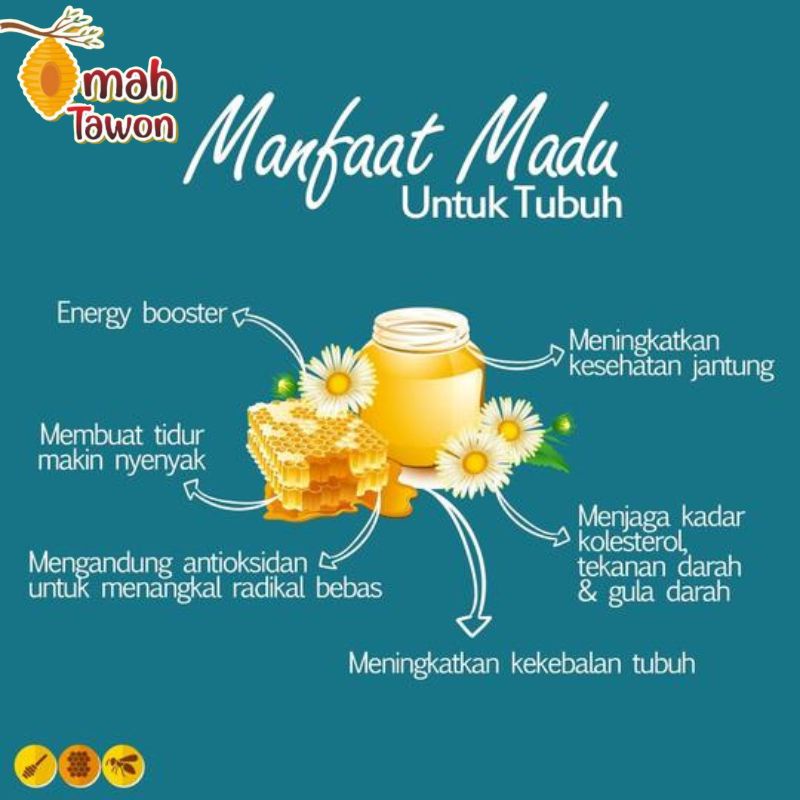 Madu Murni pure raw honey Omah tawon nektar bunga Randu