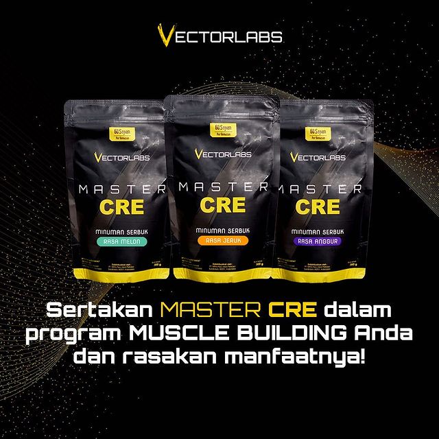 Vectorlabs Master Cre Pouch 300 Gram Creatine Monohydrate