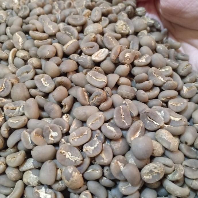 

Promo Awal tahun Green Bean Arabika Gayo Semi Wash G1 Promo Awal tahun