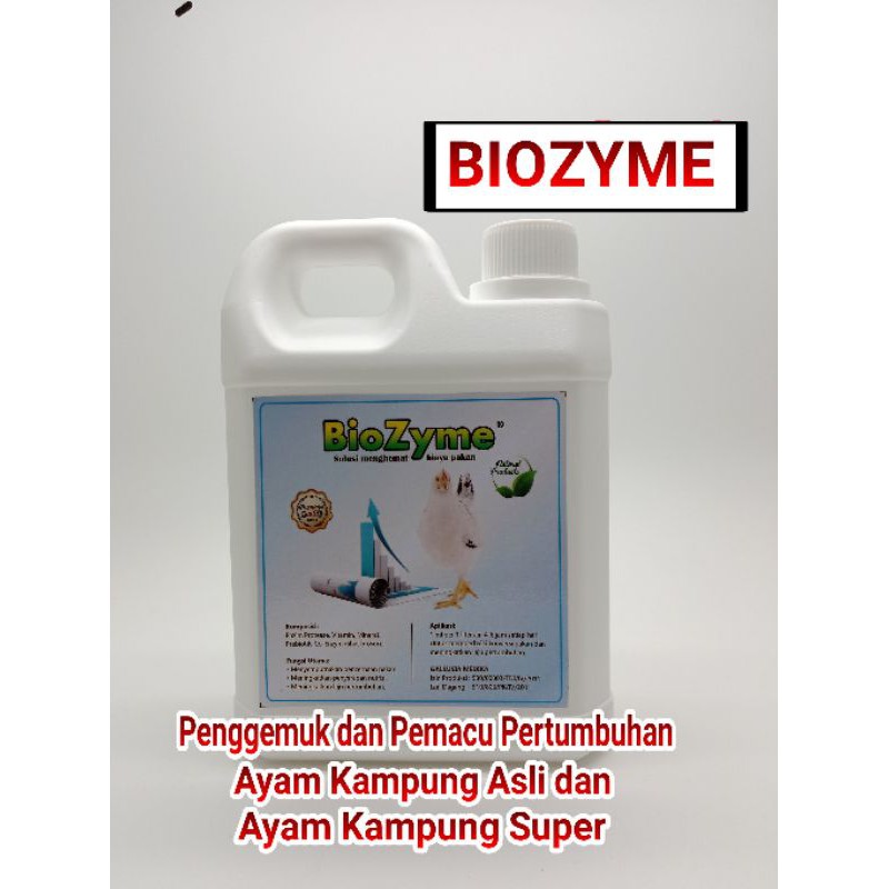 TERBARU TERBAIK Penggemuk dan Pemacu Pertumbuhan Ayam Kampung Asli dan Ayam Kampung Super BIOZYME