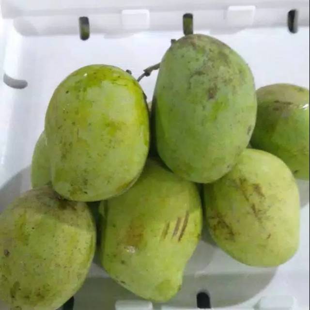 

Mangga cengkir 1kg
