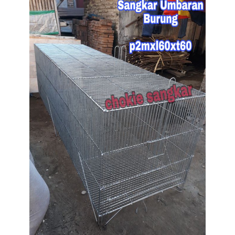 Sangkar Umbaran murai batu