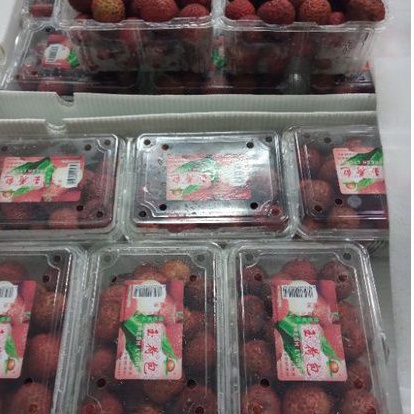 

Leci Citra Segar Sehat per Box 11 kg