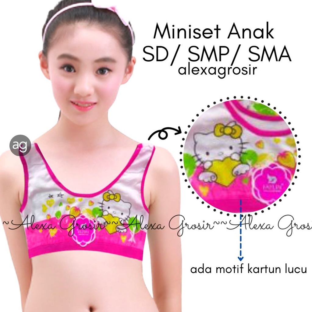 GROSIR 12 PCS miniset anak ABG, bra motif karakter lucu wanita remaja , pakaian dalam grosir wenrou