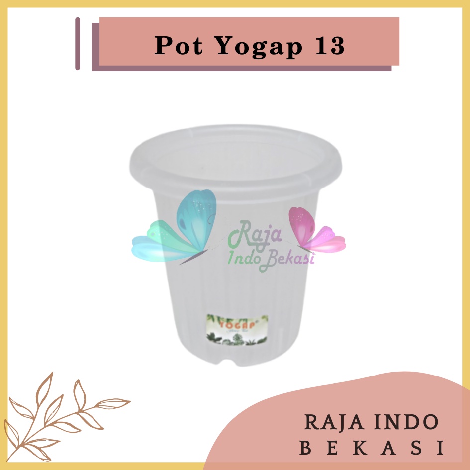 Pot Yogap 13 Putih Bening Transparan Clear Pot Tinggi Tebal Grosir Pot Yogap 10 13 15 17 18 Murah