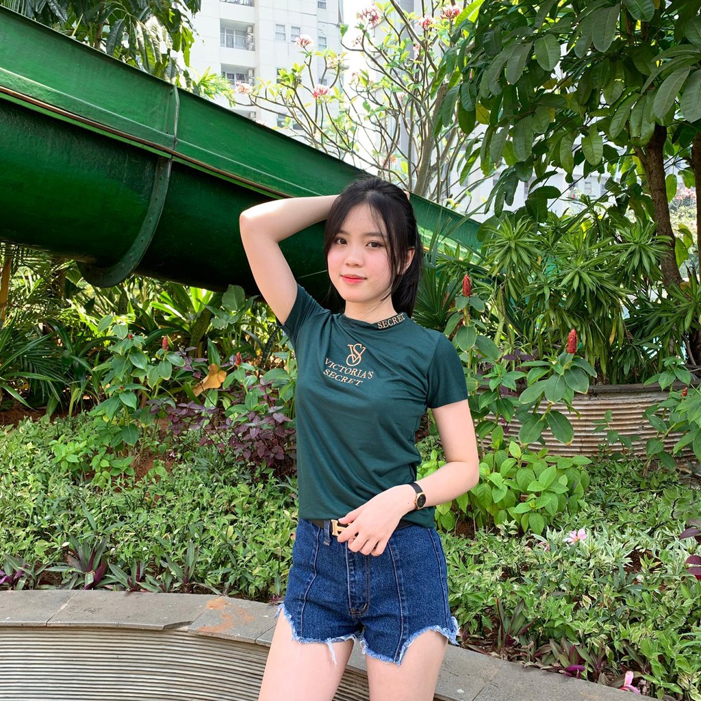 Kaos Viktoriya  bordir 1017  | Atasan wanita bordir Grosir@30