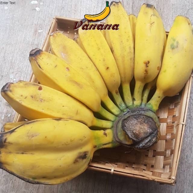 

pisang kepok 1 sisir