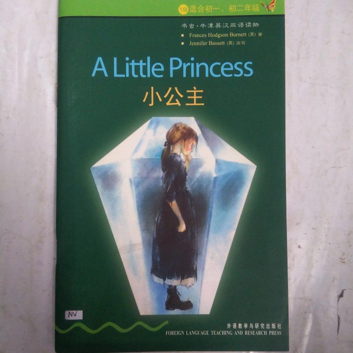 BUKU A LITTLE PRINCESS