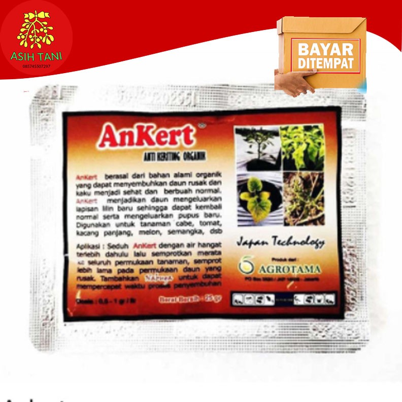 Anti Keriting Organik Ankert