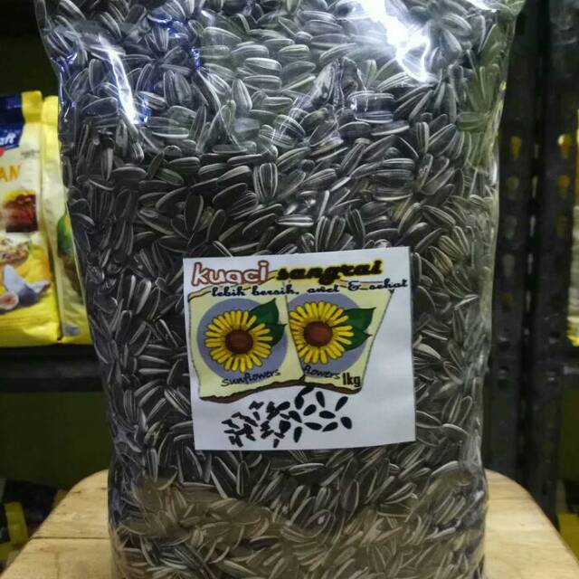 

Kwaci Sangrai pakan lovebird berat 1 KG Berkualitas Tinggi