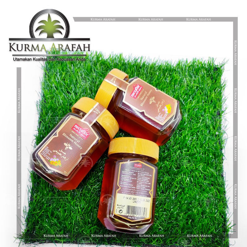 Madu Nectaflor Blossom Honey Asli Swis 250 gr Premium