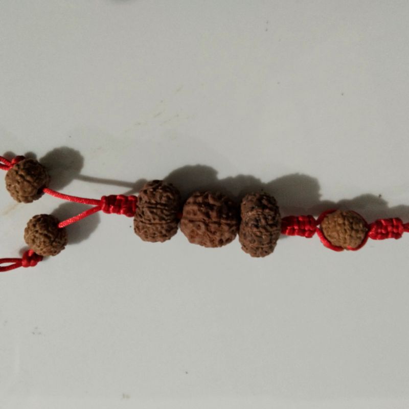 kalung jentri/kalung rudraksha