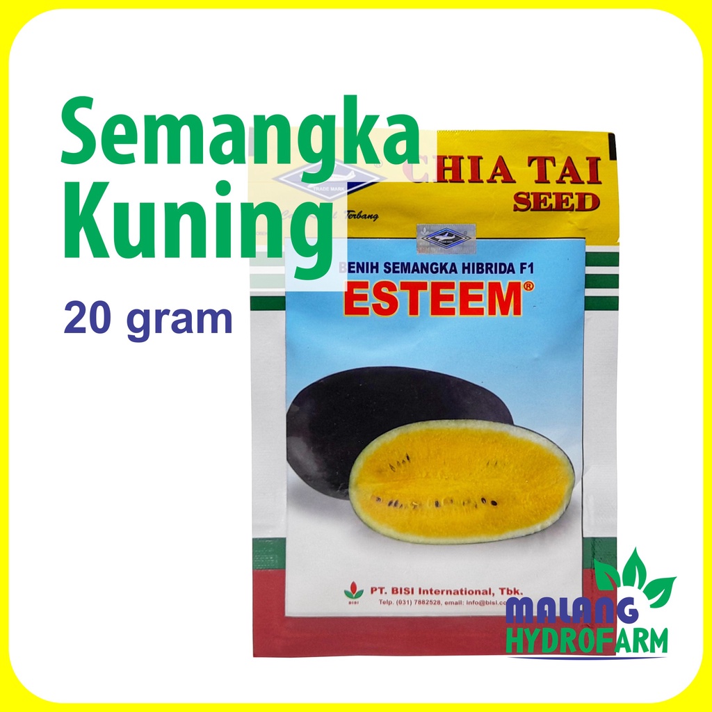 Benih Semangka Kuning Esteem 20 Gram Cap Kapal Terbang Bisi Melon Biji Unggul Bibit Hidroponik