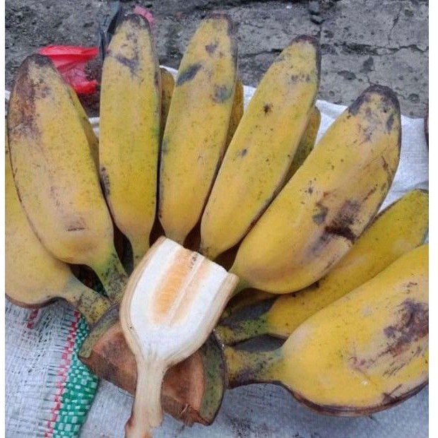 

Pisang Kepok Kuning. MyAp.FRESH_FRUITS