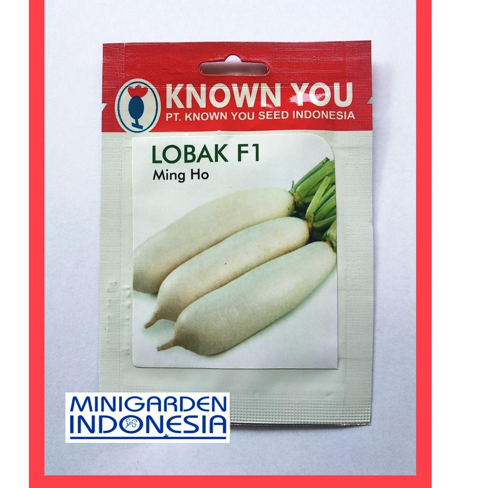 Super promo Pack 50 Benih Lobak Putih MIng Ho F1 KNOWN YOU SEED Bibit Tanaman Sayuran GRS