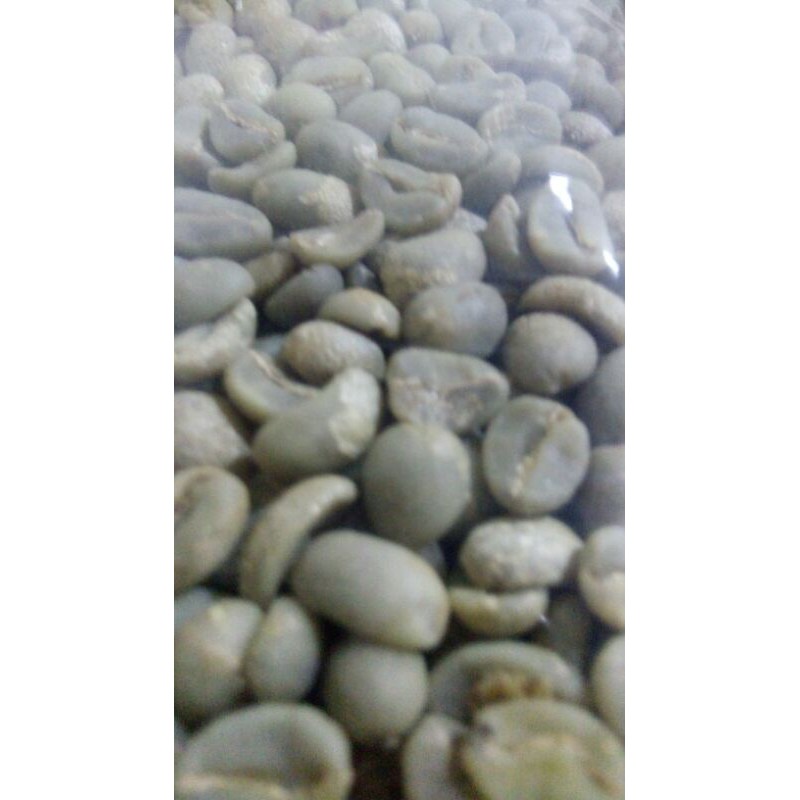 

greenbean Arabika kerinci