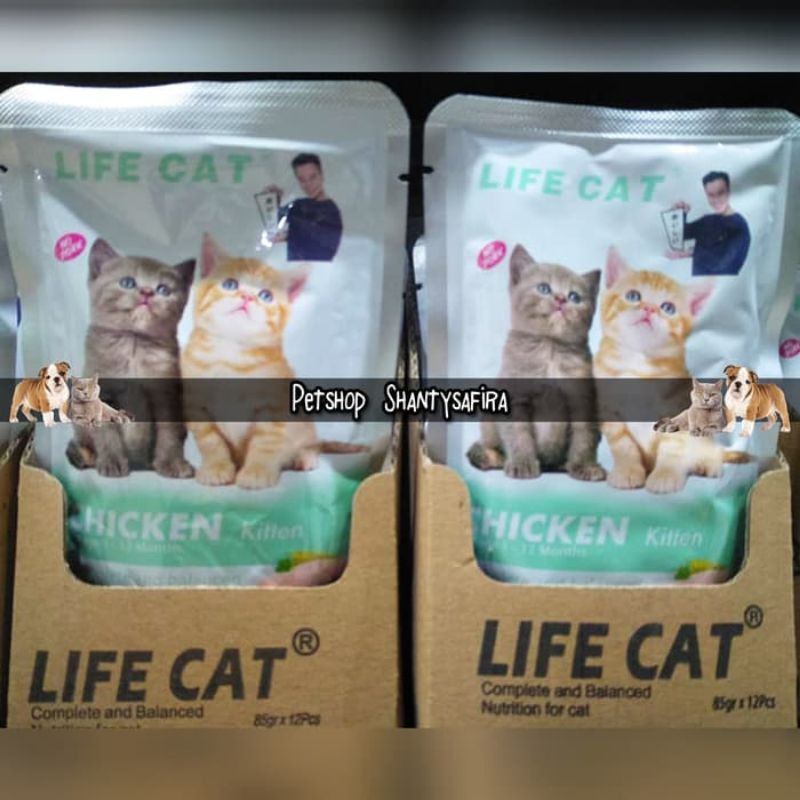 MAKANAN KUCING LIFE CAT KITTEN &amp; LIFE CAT ADULT POUCH 85 GR LIFECAT setara whiskas