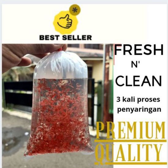 CACING DARAH/BW HIDUP SEGAR #larissangatamin