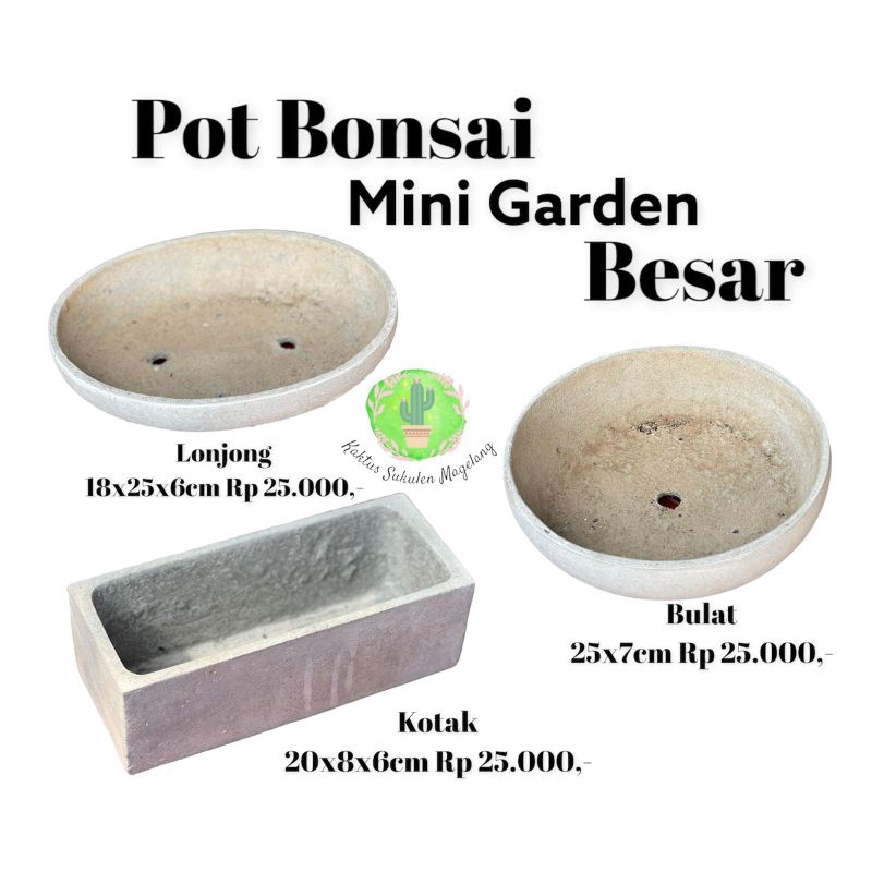 Pot Bonsai Mini Garden Besar