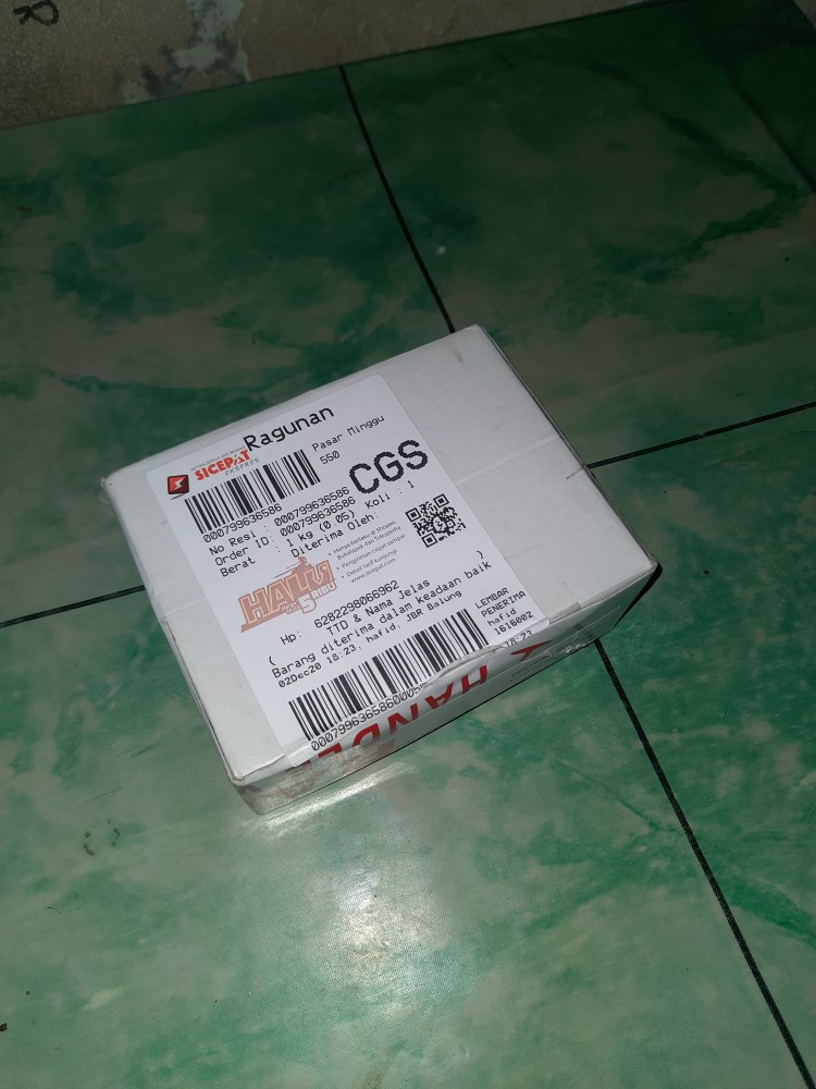 Pipe Once Akar Bahar Tali Arus Merah Hk 092