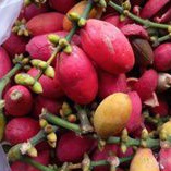 

Buah Melinjo