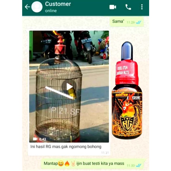 ADY78 OIL BOOSTER EXTREME RG/ VITAMIN BURUNG LOVEBIRD TERBARU RAJAGOYANG/VITAMIN LOVEBIRD