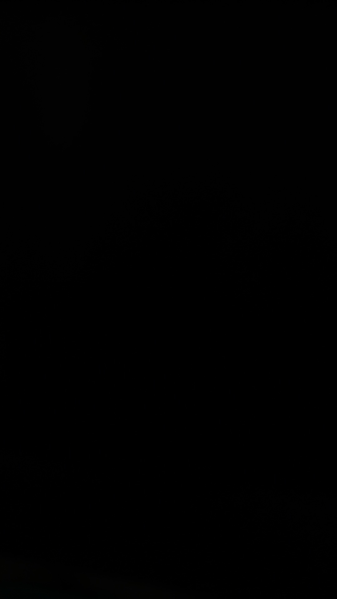 Cetakan Nasi Bento Set 4in1 Lumba Lumba Kelinci Matahari Nori/ Cetakan Agar Puding /cetakan Bento