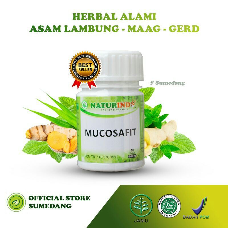 MUCOSAFIT obat herbal asam lambung kronis ampuh mengobati maag maagh gerd anxiety nyeri perut melapisi dinding lambung mual muntah sakit perut kiri kembung begah sendawa dan pencernan isi 40 kapsul-6