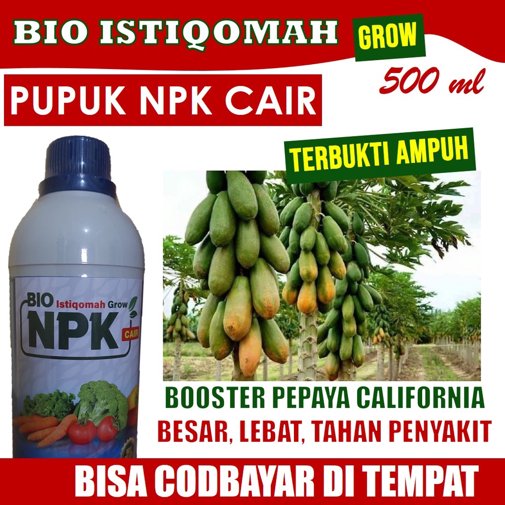 Jual Pupuk Booster Buah Pepaya California Dll Terbaik Isi Ml Istiqomah Pupuk Npk Cair